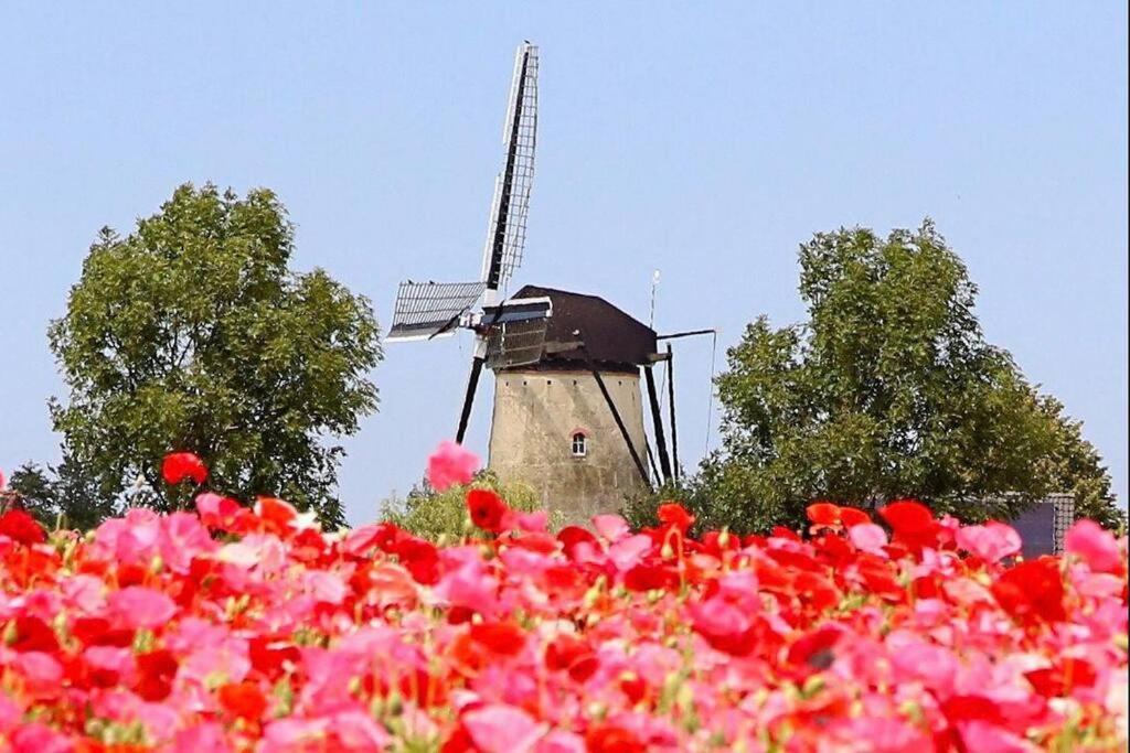 -Nieuw- Luxe & Sfeervol Vakantiehuis Tholen Kültér fotó
