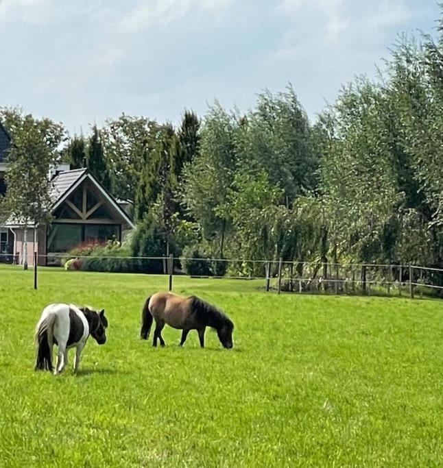 -Nieuw- Luxe & Sfeervol Vakantiehuis Tholen Kültér fotó
